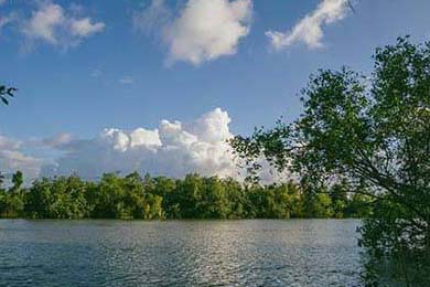 未来潜力无限：澳大利亚队如何在乒乓世界舞台再创新高，澳大利亚乒乓球公开赛