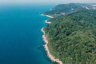 未来潜力无限：澳大利亚队如何在乒乓世界舞台再创新高，澳大利亚乒乓球公开赛