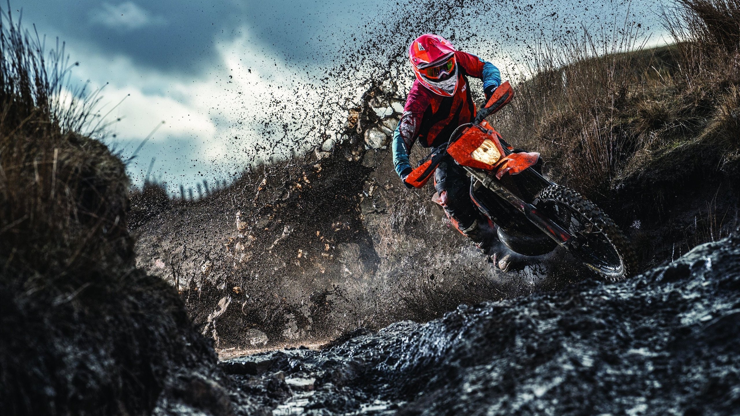 跳水组合默契比利时锁定决赛席位，比利时跳高claire orcel